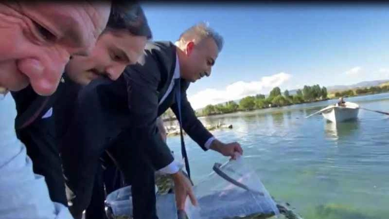 Çıldır gölüne 150 bin yavru sazan bırakıldı