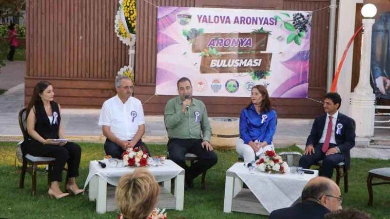 Yalova’da Aronya Günleri