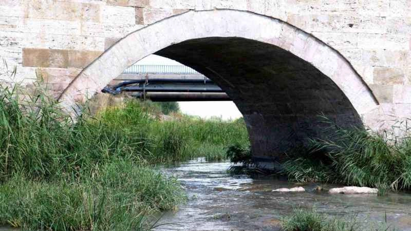 Kuraklık Kızılırmak'ı otluğa döndürdü