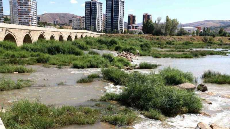 Kuraklık Kızılırmak'ı otluğa döndürdü