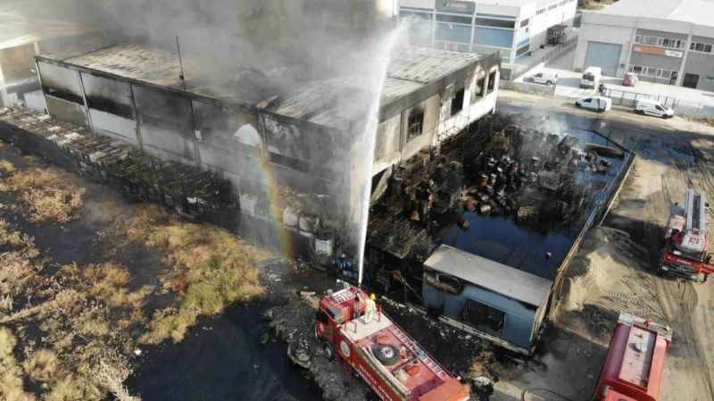 Çevre felaketinin boyutu gün ağarınca ortaya çıktı