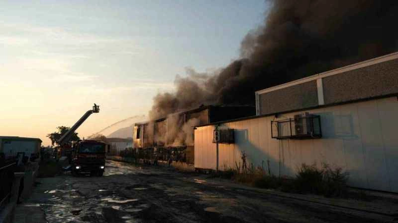 Çevre felaketinin boyutu gün ağarınca ortaya çıktı