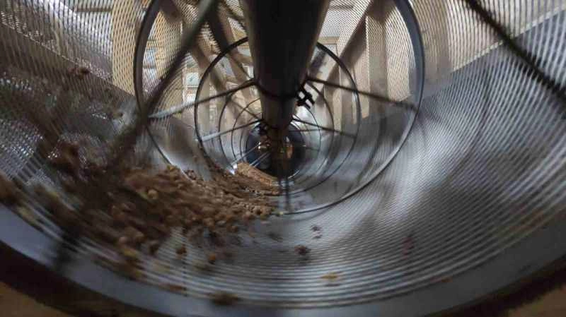 Fındık ihracatı yapılan tesiste inceleme