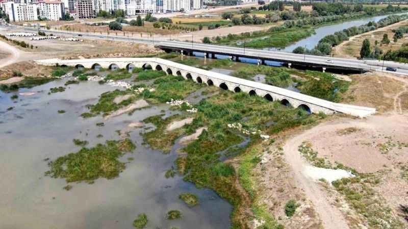 Kuraklık Kızılırmak'ı otluğa döndürdü
