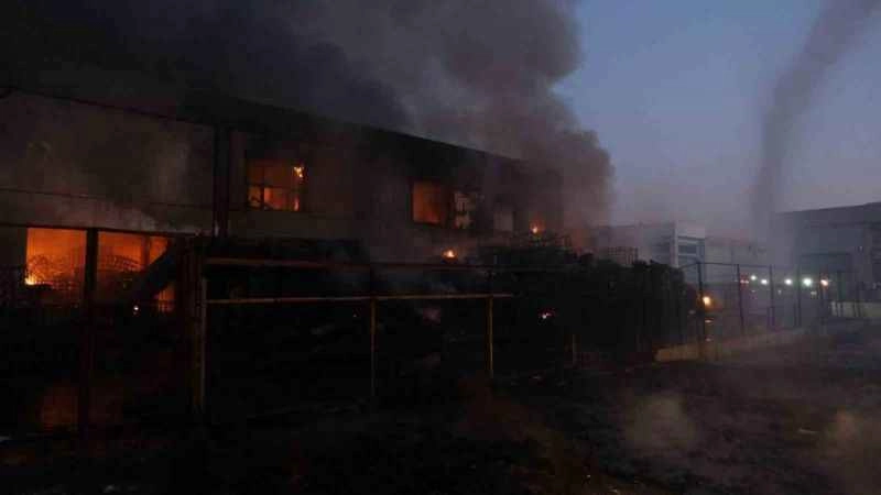 Çevre felaketinin boyutu gün ağarınca ortaya çıktı