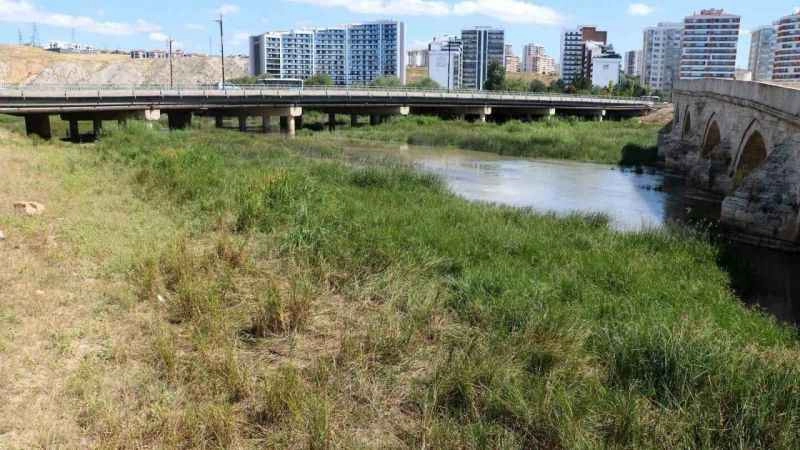Kuraklık Kızılırmak'ı otluğa döndürdü