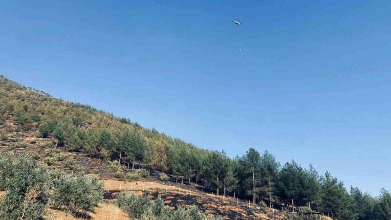 Maraş’taki orman yangını söndürüldü