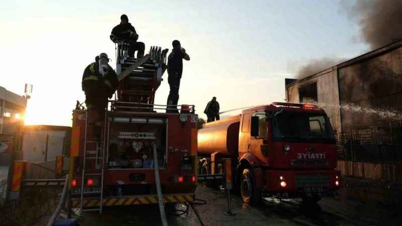 Çevre felaketinin boyutu gün ağarınca ortaya çıktı