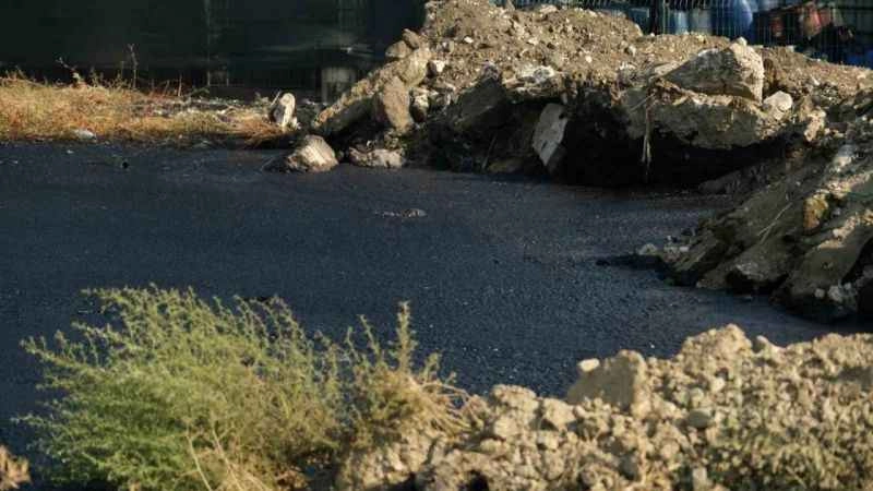 Çevre felaketinin boyutu gün ağarınca ortaya çıktı