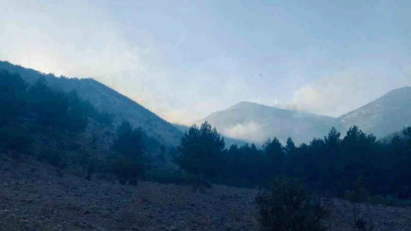 Maraş’taki orman yangını söndürüldü