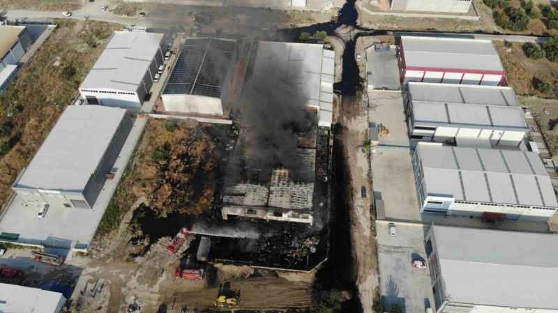 Çevre felaketinin boyutu gün ağarınca ortaya çıktı