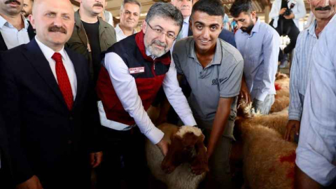 Depremden etkilenen illerde hayvancılık desteği tamamlandı