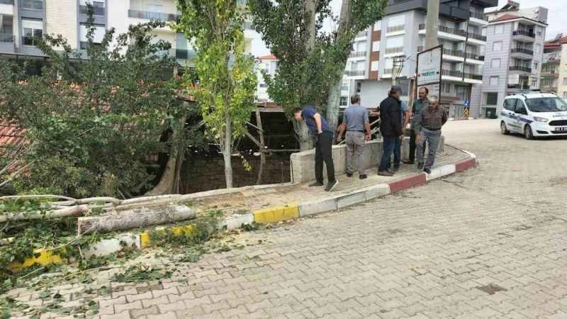 Kayıp emekli öğretmen ölü bulundu