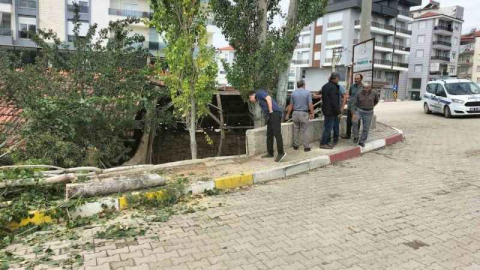 Kayıp emekli öğretmen ölü bulundu