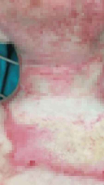 Sosyal medya çocukların sağlığını tehdit ediyor