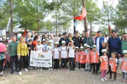 7 yıl sonra dağlar yine ormanla kaplanacak