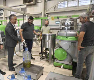 Zeytin rekoltemizi arttırmamız lazım