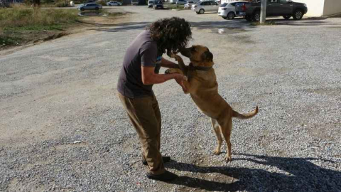 Gözleri görmeyen köpeğine göz oldu