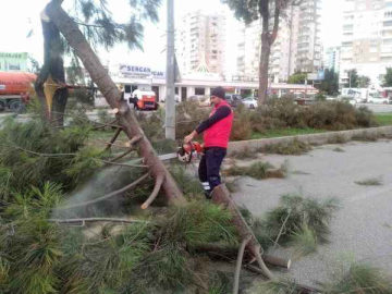 Büyükşehir ekiplerinin fırtına mesaisi