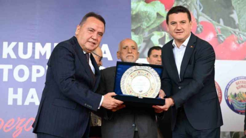 Toptancı halleri sezonu açtı
