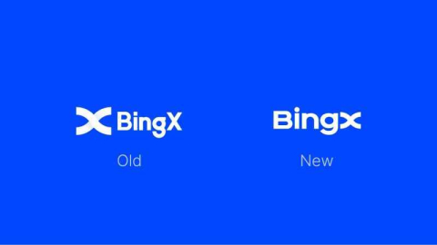 Kripto Para Borsası BingX, Yeniden Markalaşma Yolunda