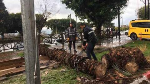 Büyükşehir'den hafta sonu seferberliği
