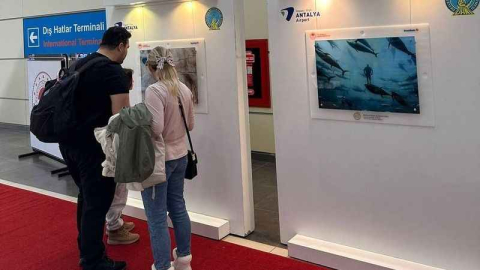 Tarım Orman ve İnsan fotoğrafları sergileniyor