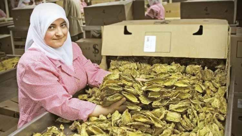Tütün sektöründe hedef 1 milyar dolar!