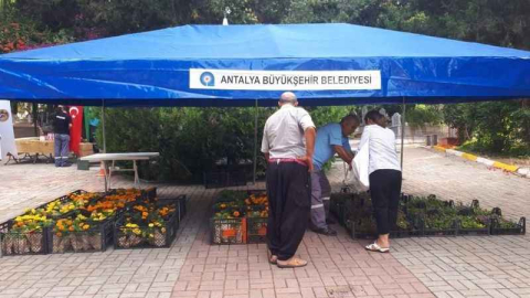 Büyükşehir'den kabir ziyaretçilerine çiçek