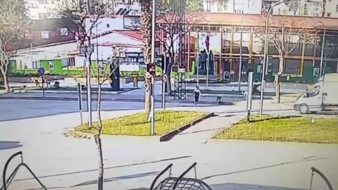 Köpeklerin kovaladığı genç kıza otomobil çarptı