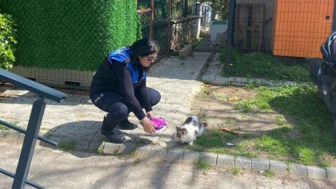 Polisten patili dostlarımıza şefkat eli
