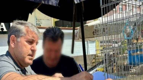 Antalya’da papağan operasyonu: 41 papağan ele geçirildi