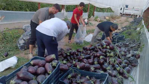 İsraf olacak ürünleri bağışladılar