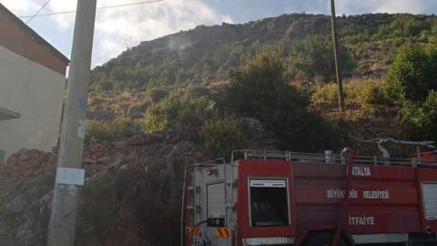 Alanya’da orman yangını