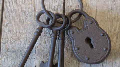 2023’te sanayi sektöründe 161 bin 511 şirket kuruldu