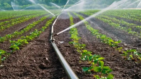 Su yapıları yaptırılacak