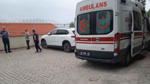 Kekik toplarken yüksekten düşen adam yaralandı