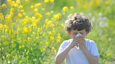 Çocuklarda alerjik bahar nezlesinin 10 belirtisi