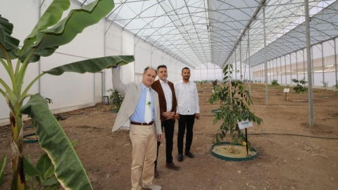 Kumluca MYO’da 17 tropik meyve türü araştırılıyor