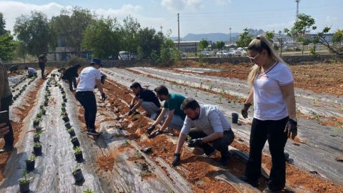 MYO’da tıbbi ve aromatik bitki bahçesi kuruldu