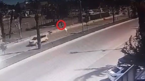 Köpeklerden kaçarken canından oluyordu