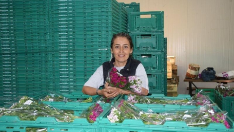 100 bin anne için 100 bin demet çiçek hazır