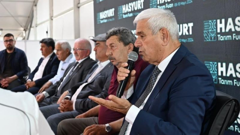 Dünyaca ünlü Finike Portakalı dalında kaldı