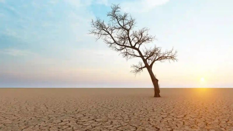 İklim değişiklikleri kuraklık kaygısını tetikliyor