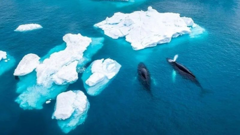 Dünyanın dönüş hızı azaldı