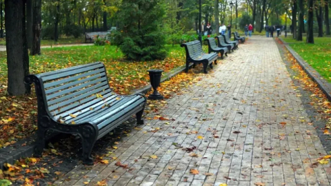 Side'de park içerisinde büfe kiraya verilecek