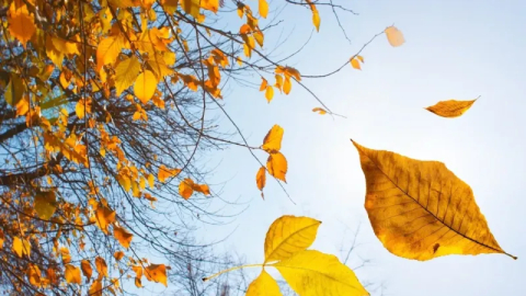 Sonbaharın ruh halimize etkileri ve korunma yolları