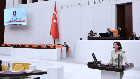 Aliye Coşar, İUP konusunu meclis gündemine taşıdı