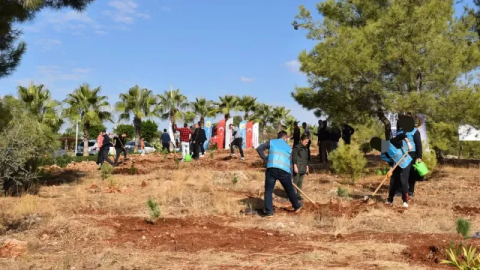 Manavgat Sarılar'da 250 çam fidanı toprakla buluştu