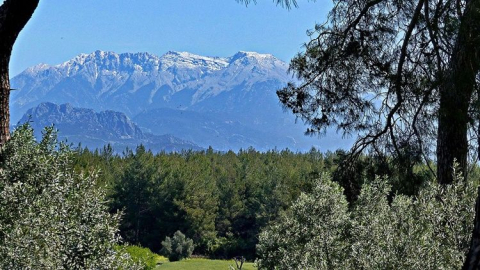 Beydiğin'de taşınmaz satış ilanı